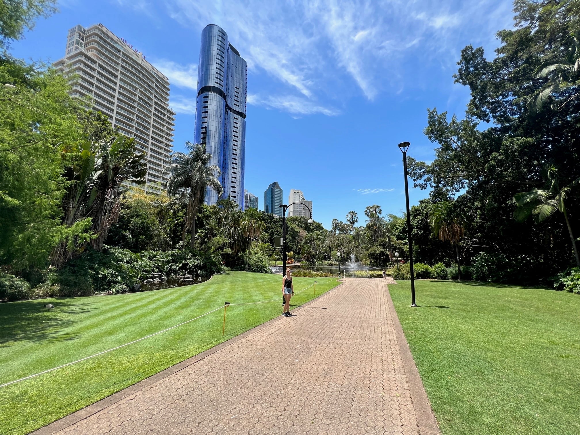 The Botanical Gardens in Brisbane