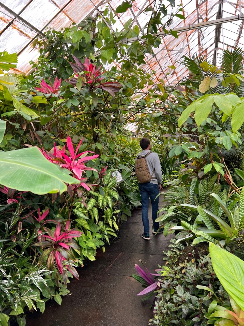 The Botanical Gardens around Melbourne