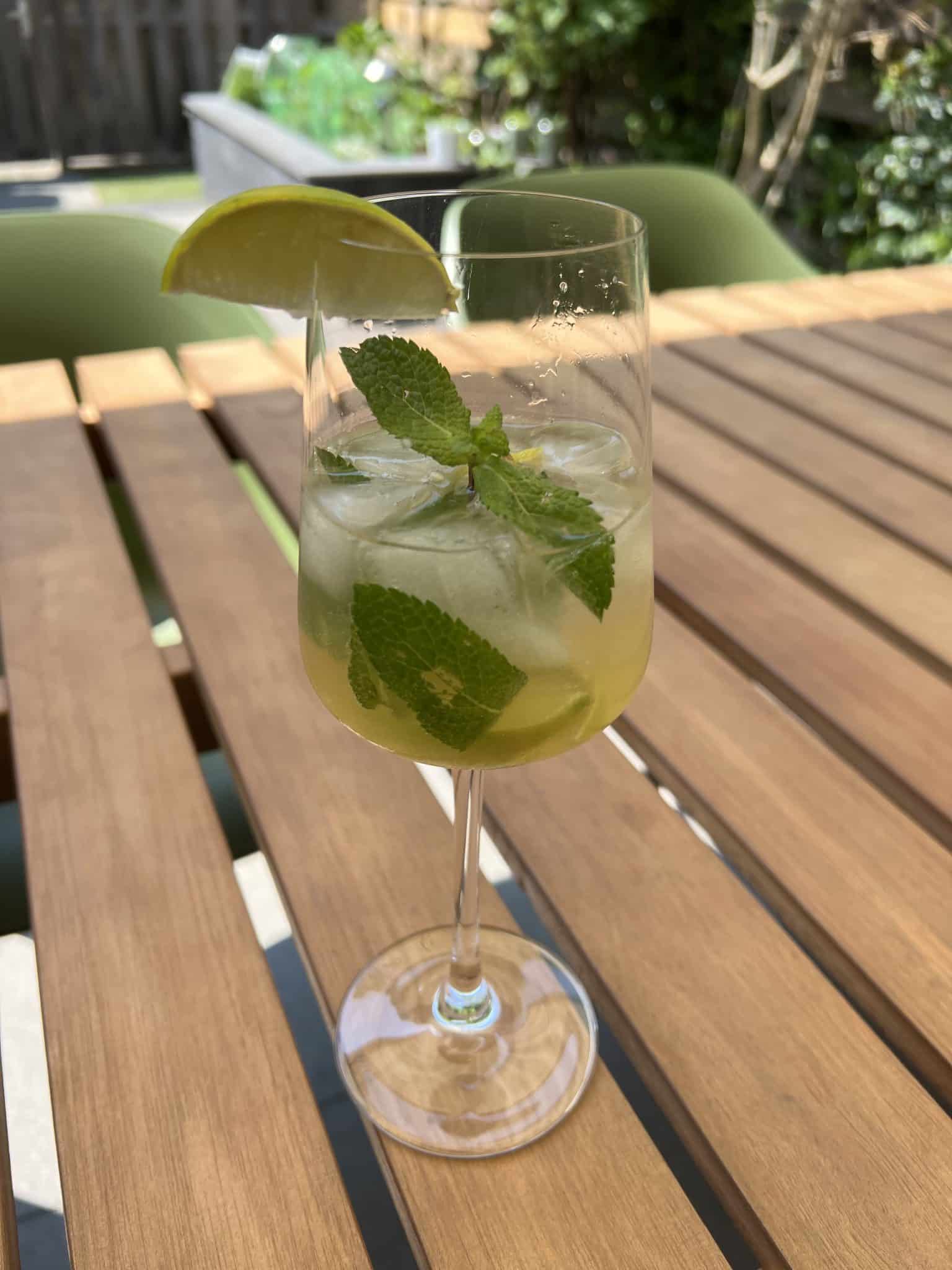 The complete Mojito