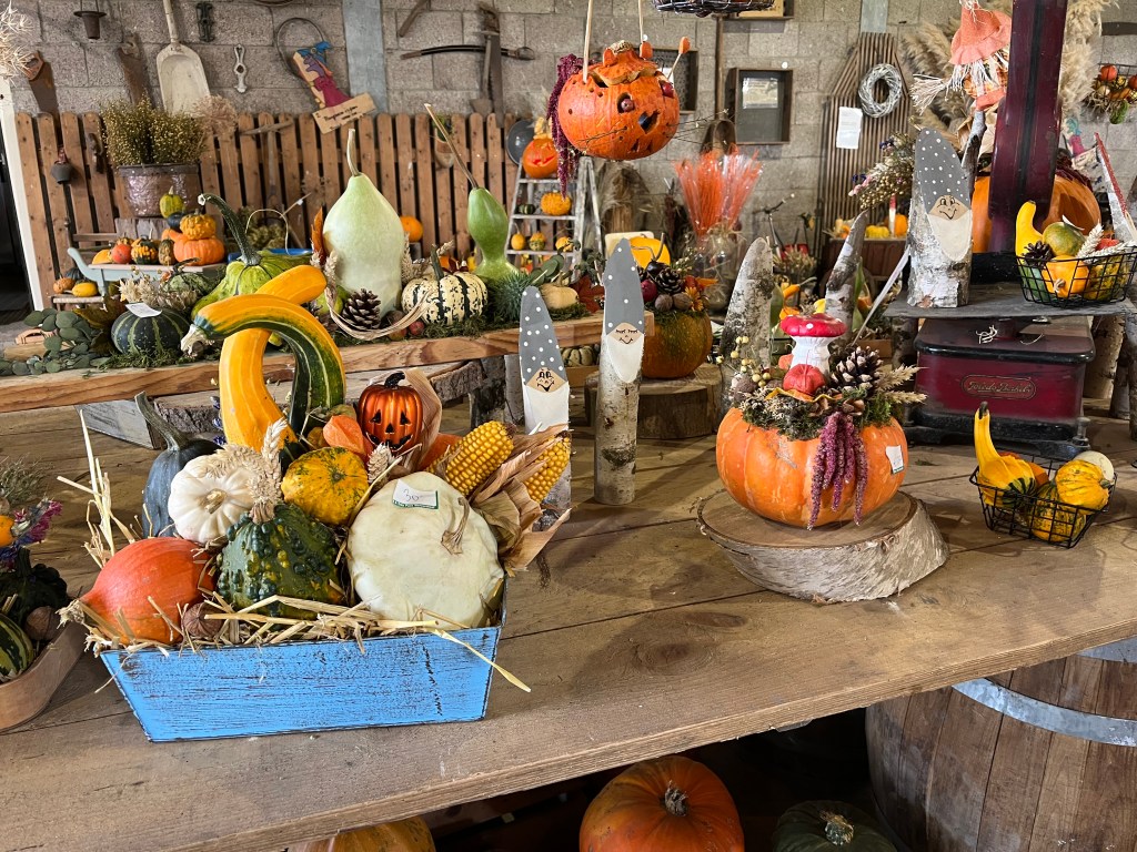 pumpkin activities at the pumpkin farm